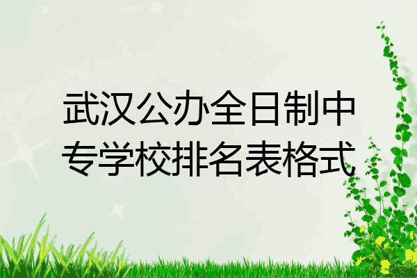 武汉公办全日制中专学校排名表格式