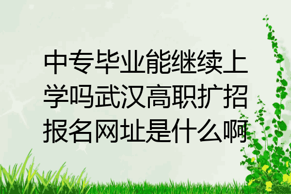 中专毕业能继续上学吗武汉高职扩招报名网址是什么啊
