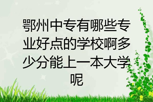 鄂州中专有哪些专业好点的学校啊多少分能上一本大学呢