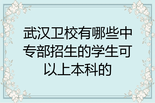 武汉卫校有哪些中专部招生的学生可以上本科的