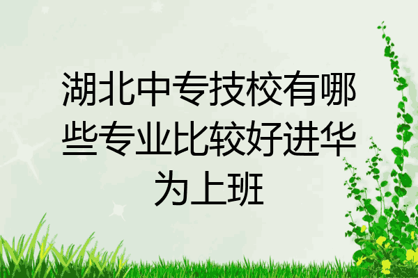 湖北中专技校有哪些专业比较好进华为上班