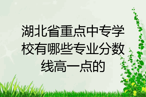 湖北省重点中专学校有哪些专业分数线高一点的