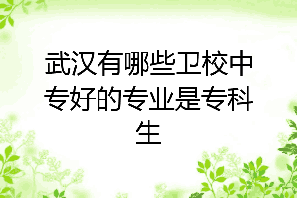 武汉有哪些卫校中专好的专业是专科生
