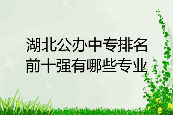 湖北公办中专排名前十强有哪些专业