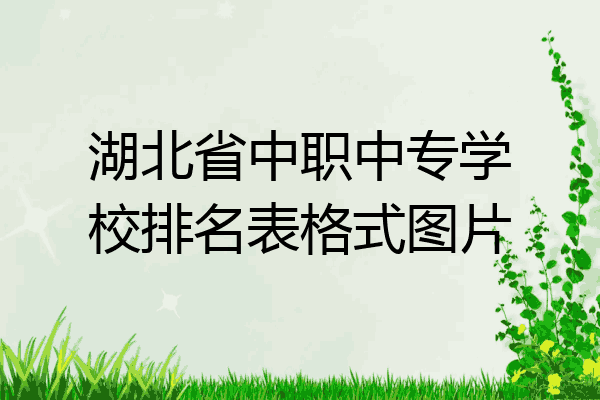 湖北省中职中专学校排名表格式图片