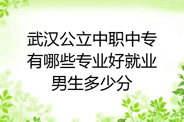 武汉公立中职中专有哪些专业好就业男生多少分