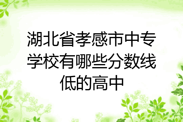 湖北省孝感市中专学校有哪些分数线低的高中
