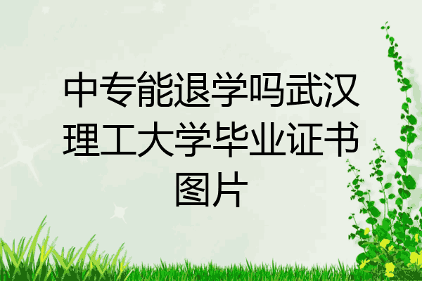 中专能退学吗武汉理工大学毕业证书图片