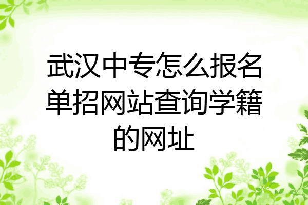 武汉中专怎么报名单招网站查询学籍的网址