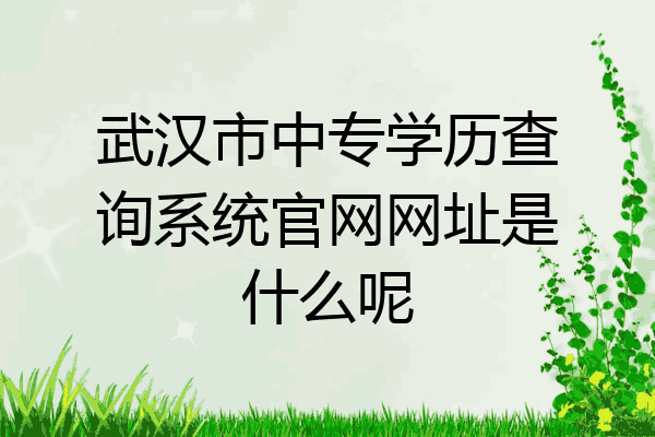 武汉市中专学历查询系统官网网址是什么呢