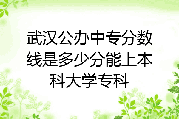 武汉公办中专分数线是多少分能上本科大学专科