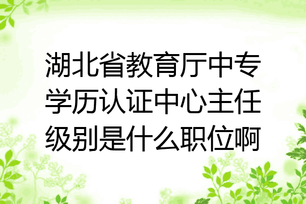 湖北省教育厅中专学历认证中心主任级别是什么职位啊