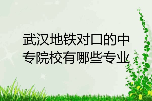 武汉地铁对口的中专院校有哪些专业