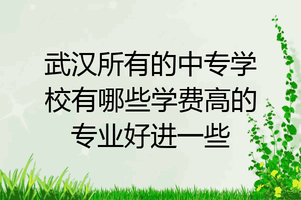 武汉所有的中专学校有哪些学费高的专业好进一些