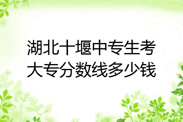 湖北十堰中专生考大专分数线多少钱