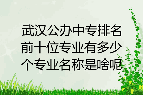 武汉公办中专排名前十位专业有多少个专业名称是啥呢