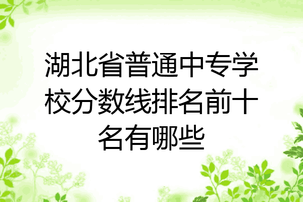 湖北省普通中专学校分数线排名前十名有哪些