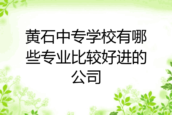 黄石中专学校有哪些专业比较好进的公司