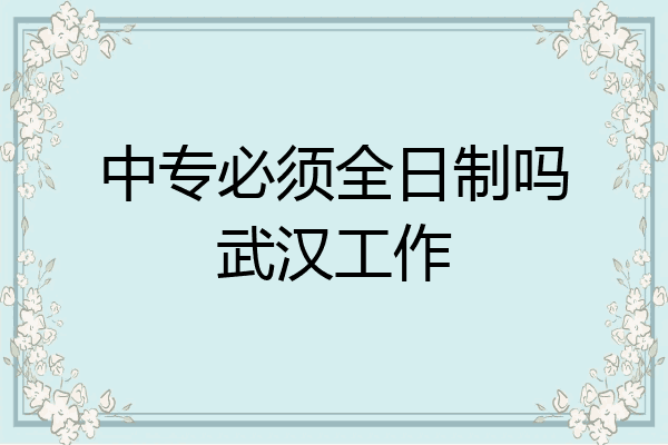 中专必须全日制吗武汉工作
