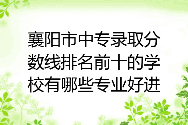襄阳市中专录取分数线排名前十的学校有哪些专业好进