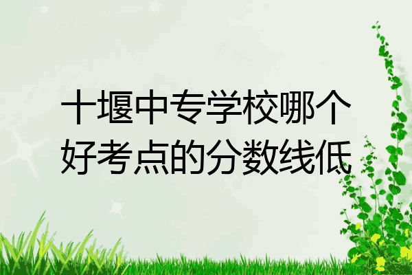 十堰中专学校哪个好考点的分数线低