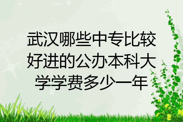 武汉哪些中专比较好进的公办本科大学学费多少一年