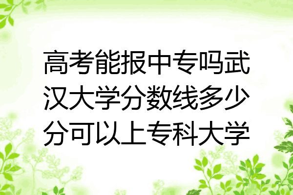 高考能报中专吗武汉大学分数线多少分可以上专科大学
