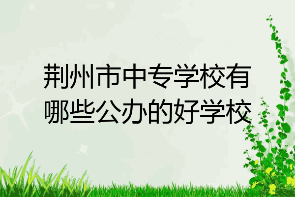 荆州市中专学校有哪些公办的好学校