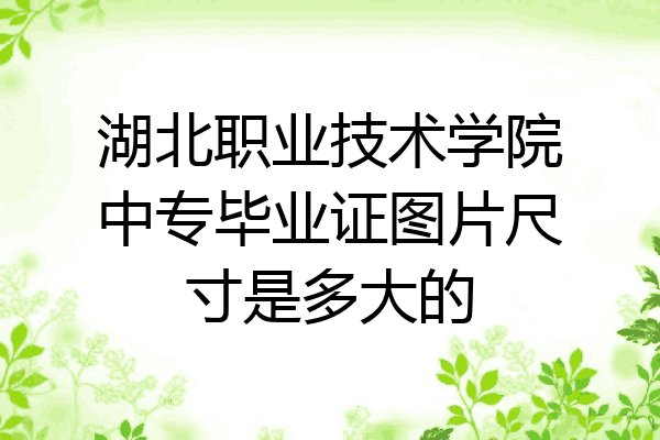 湖北职业技术学院中专毕业证图片尺寸是多大的