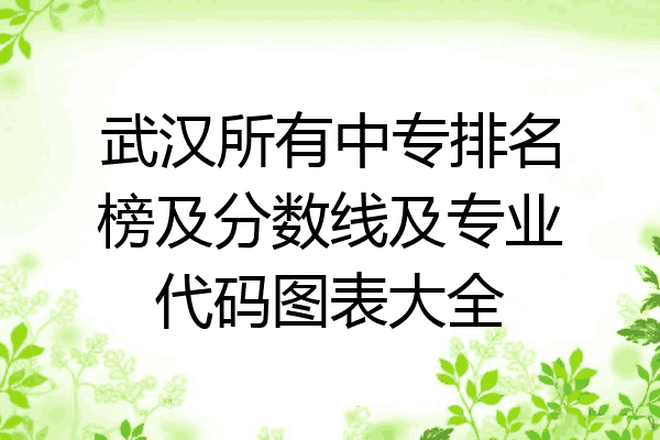 武汉所有中专排名榜及分数线及专业代码图表大全