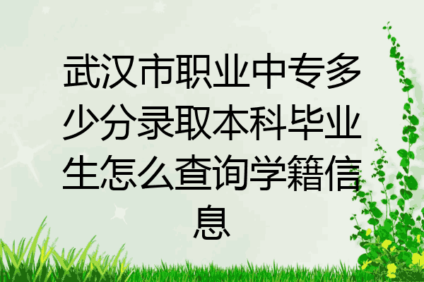 武汉市职业中专多少分录取本科毕业生怎么查询学籍信息