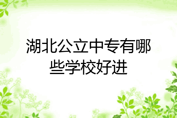 湖北公立中专有哪些学校好进