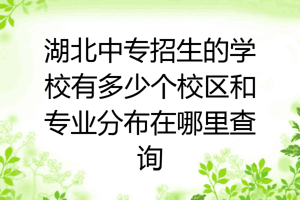 湖北中专招生的学校有多少个校区和专业分布在哪里查询