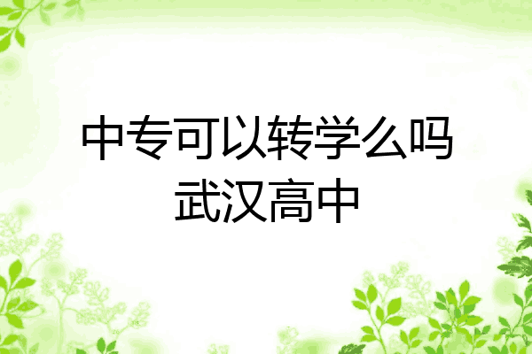 中专可以转学么吗武汉高中