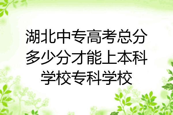 湖北中专高考总分多少分才能上本科学校专科学校