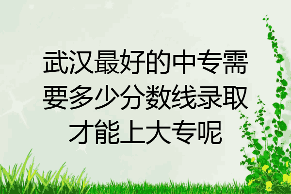 武汉最好的中专需要多少分数线录取才能上大专呢
