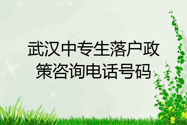 武汉中专生落户政策咨询电话号码