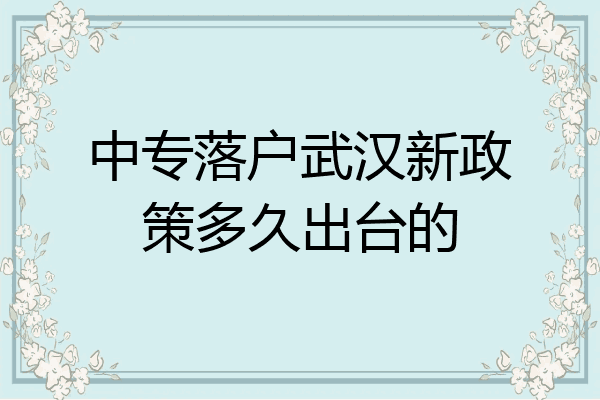 中专落户武汉新政策多久出台的