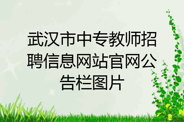 武汉市中专教师招聘信息网站官网公告栏图片
