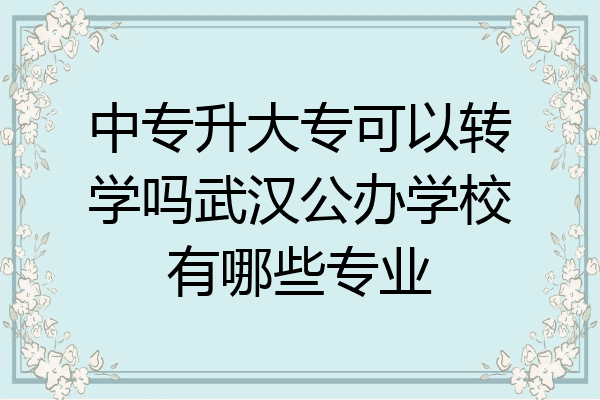 中专升大专可以转学吗武汉公办学校有哪些专业
