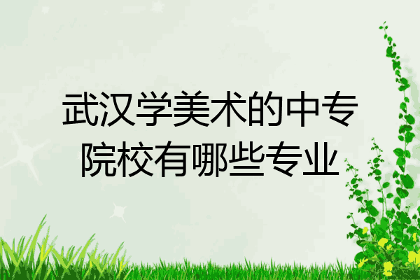 武汉学美术的中专院校有哪些专业