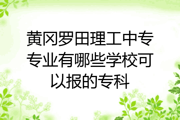 黄冈罗田理工中专专业有哪些学校可以报的专科