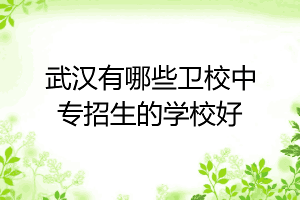 武汉有哪些卫校中专招生的学校好