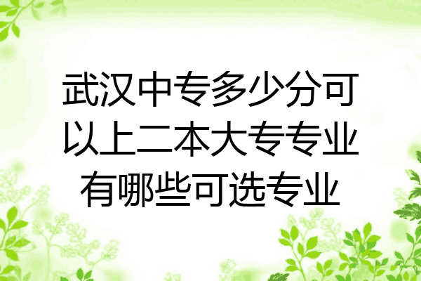 武汉中专多少分可以上二本大专专业有哪些可选专业