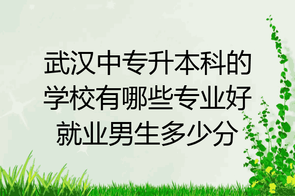 武汉中专升本科的学校有哪些专业好就业男生多少分
