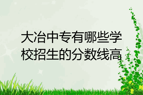 大冶中专有哪些学校招生的分数线高