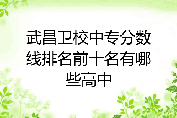 武昌卫校中专分数线排名前十名有哪些高中