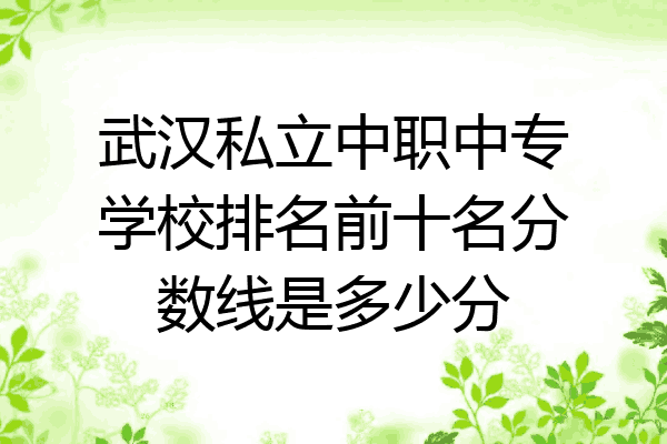 武汉私立中职中专学校排名前十名分数线是多少分