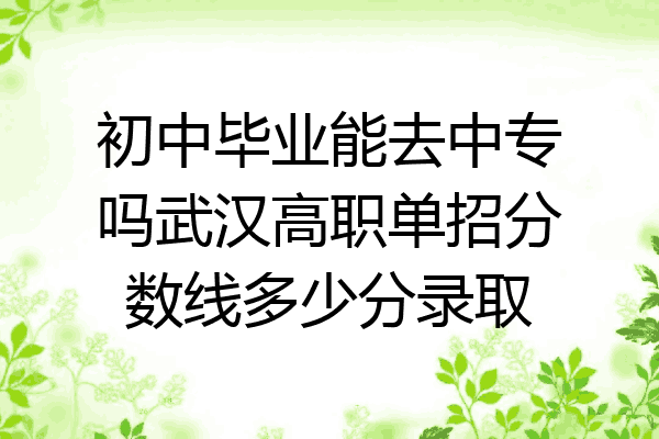 初中毕业能去中专吗武汉高职单招分数线多少分录取