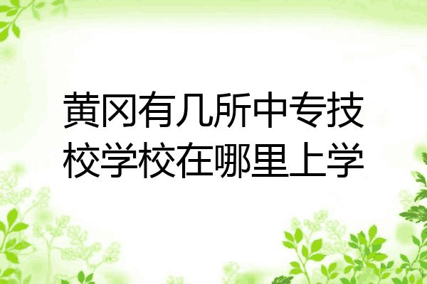 黄冈有几所中专技校学校在哪里上学
